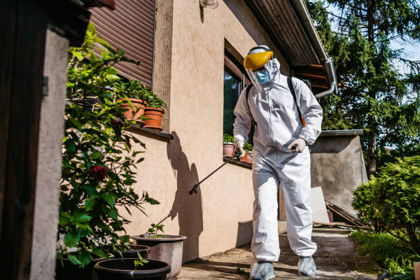 Pest Prevention Services in Basile, LA