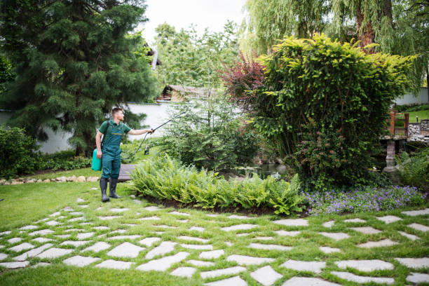Best Wasp Removal Services  in Basile, LA