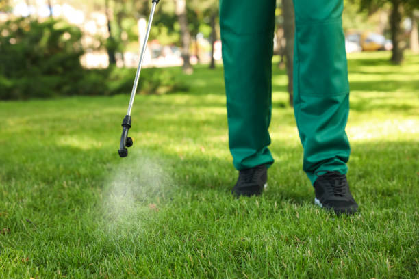 Professional Pest Control in Basile, LA