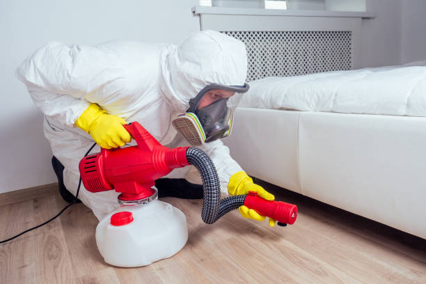 Wasp Removal Services in Basile, LA