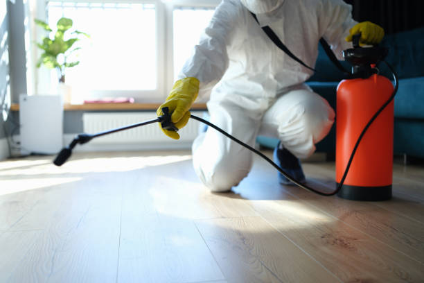 Best Insect Control  in Basile, LA