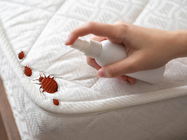 Best Pest Inspection Near Me  in Basile, LA