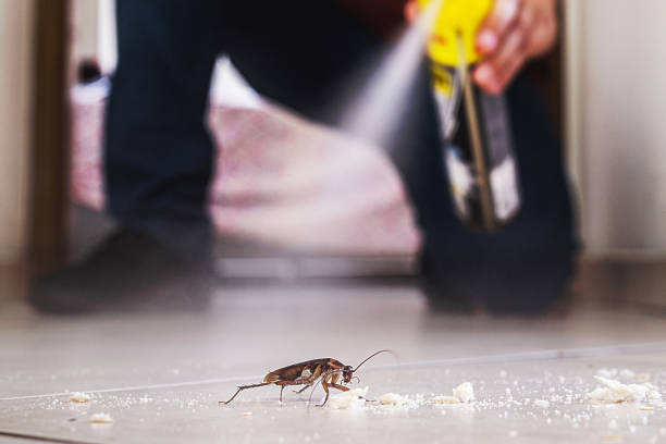 Pest Control for Restaurants in Basile, LA