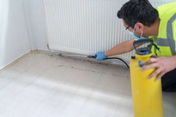 Best Pest Prevention Services  in Basile, LA